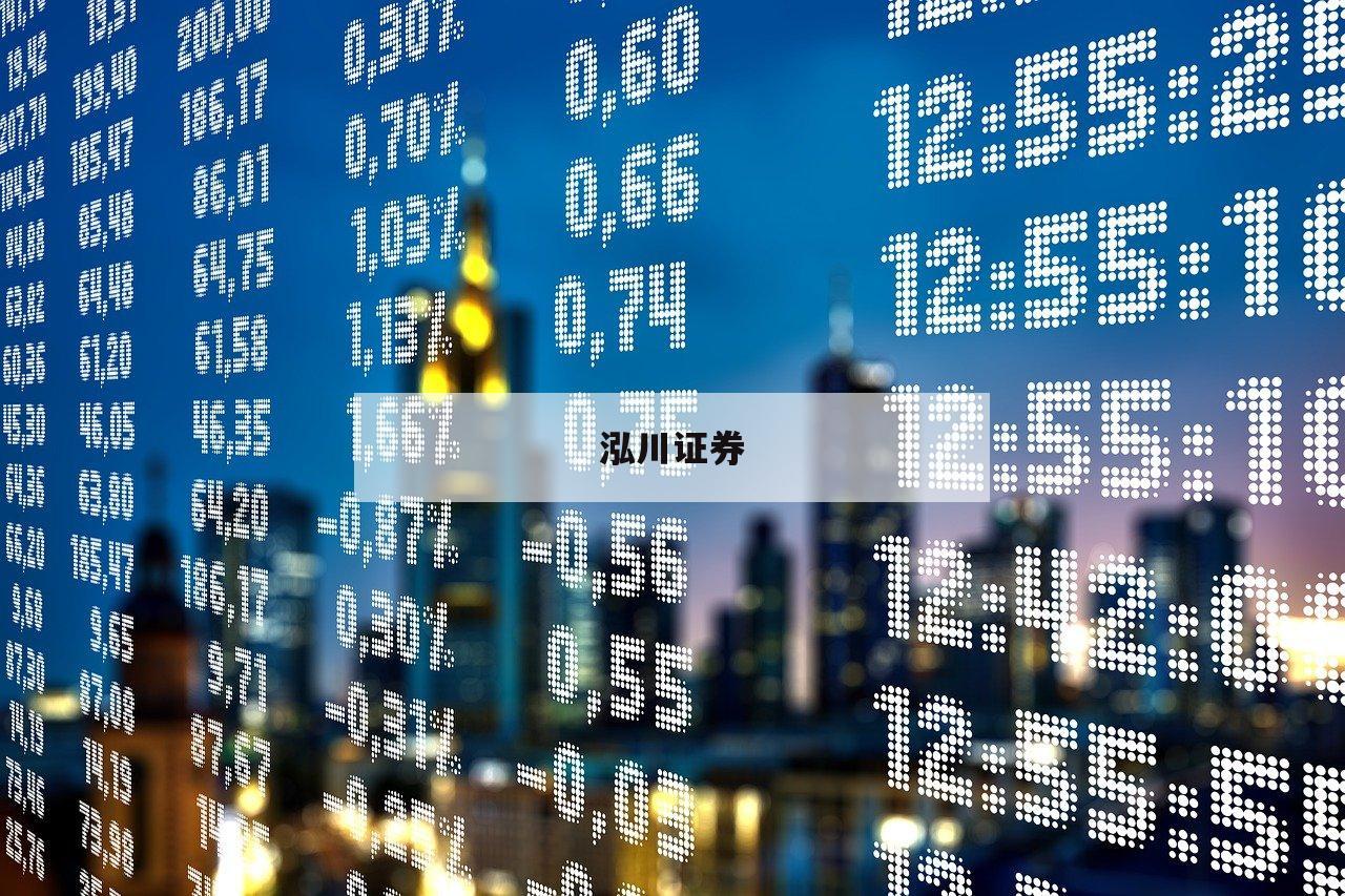 深度分析：配资网的优势与风险评估